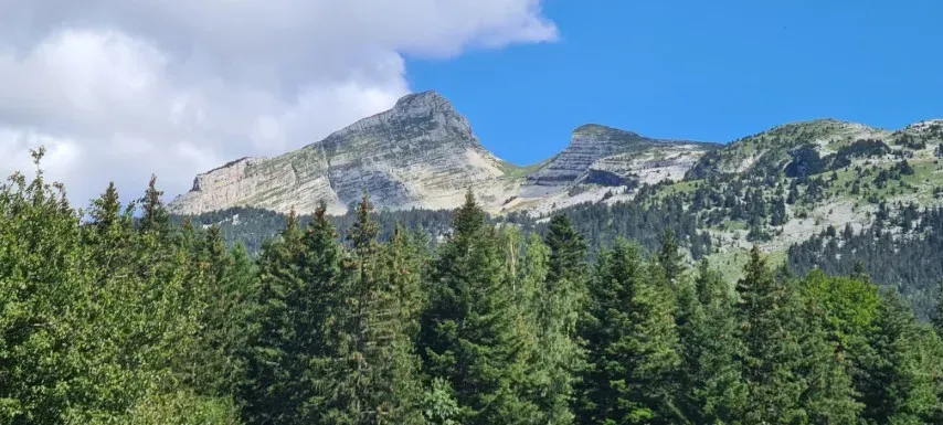 montagne sapin