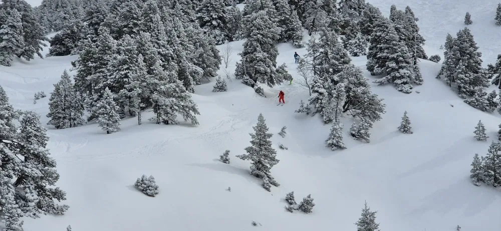 villard2